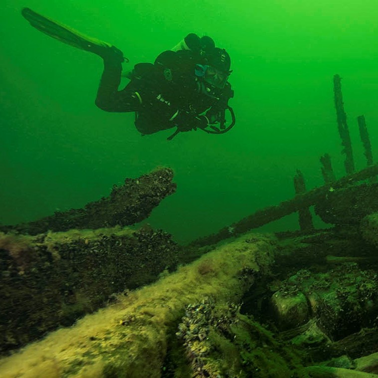 En dykare invid ett skeppsvrak täckt med sjögräs.