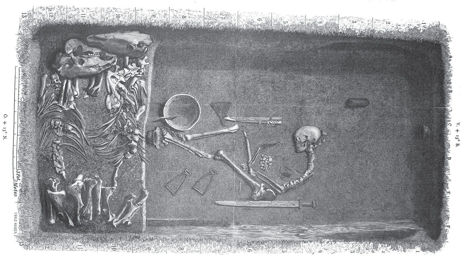 En ritning av en grav där skelett från människa och djur syns