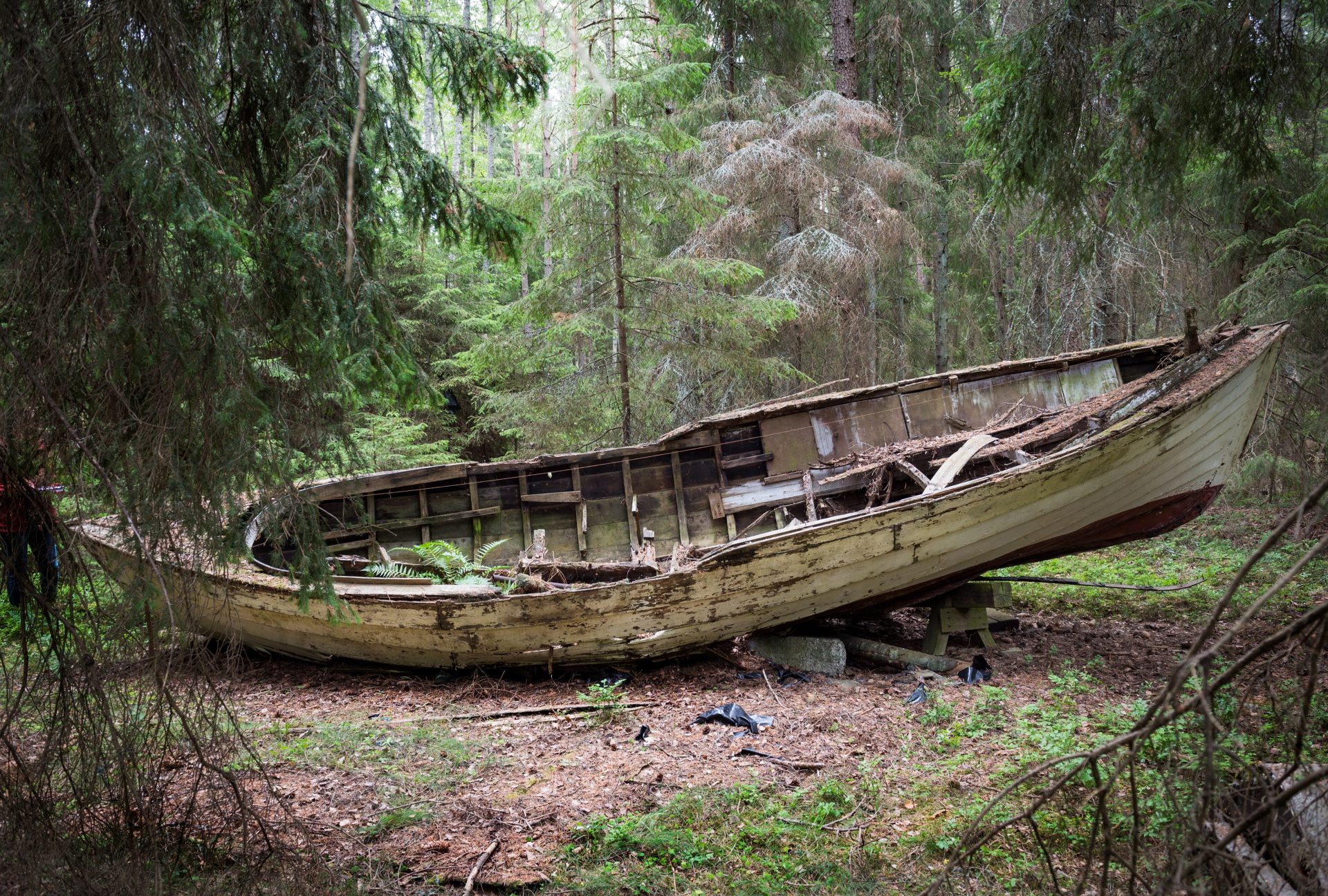 En övergiven båt i en skog