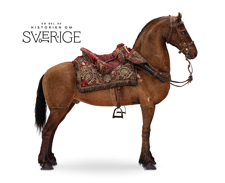 En brun, uppstoppad häst. Sedd från sidan, med huvudet åt höger. På ryggen en broderad sadel.
