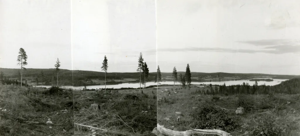 En vy över landsbygden med träd och en sjö