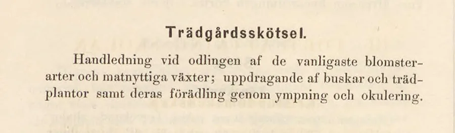 Tryckt text på gulvitt papper.